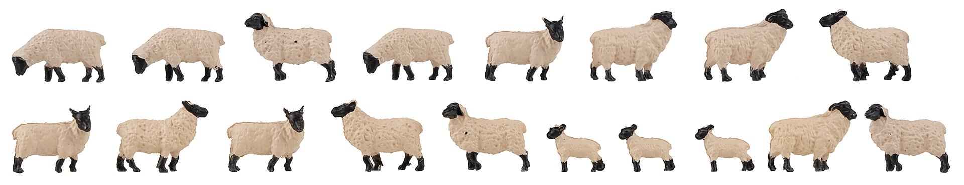 Faller Zwartkop Schapen H0 (18)