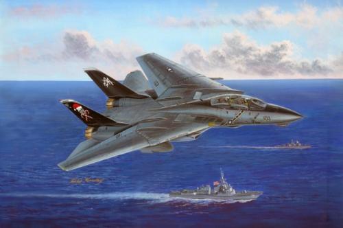 HobbyBoss F-14B Tomcat 1/48