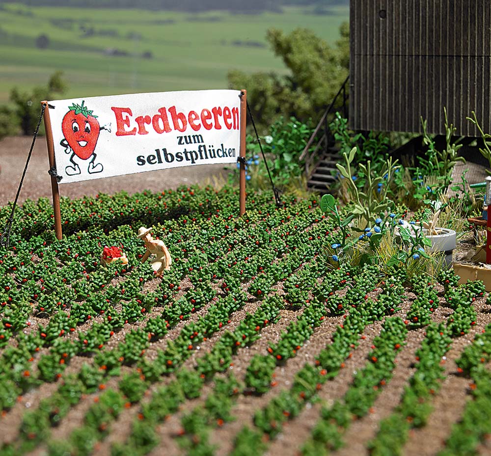 Busch Aardbeiplanten (40) H0