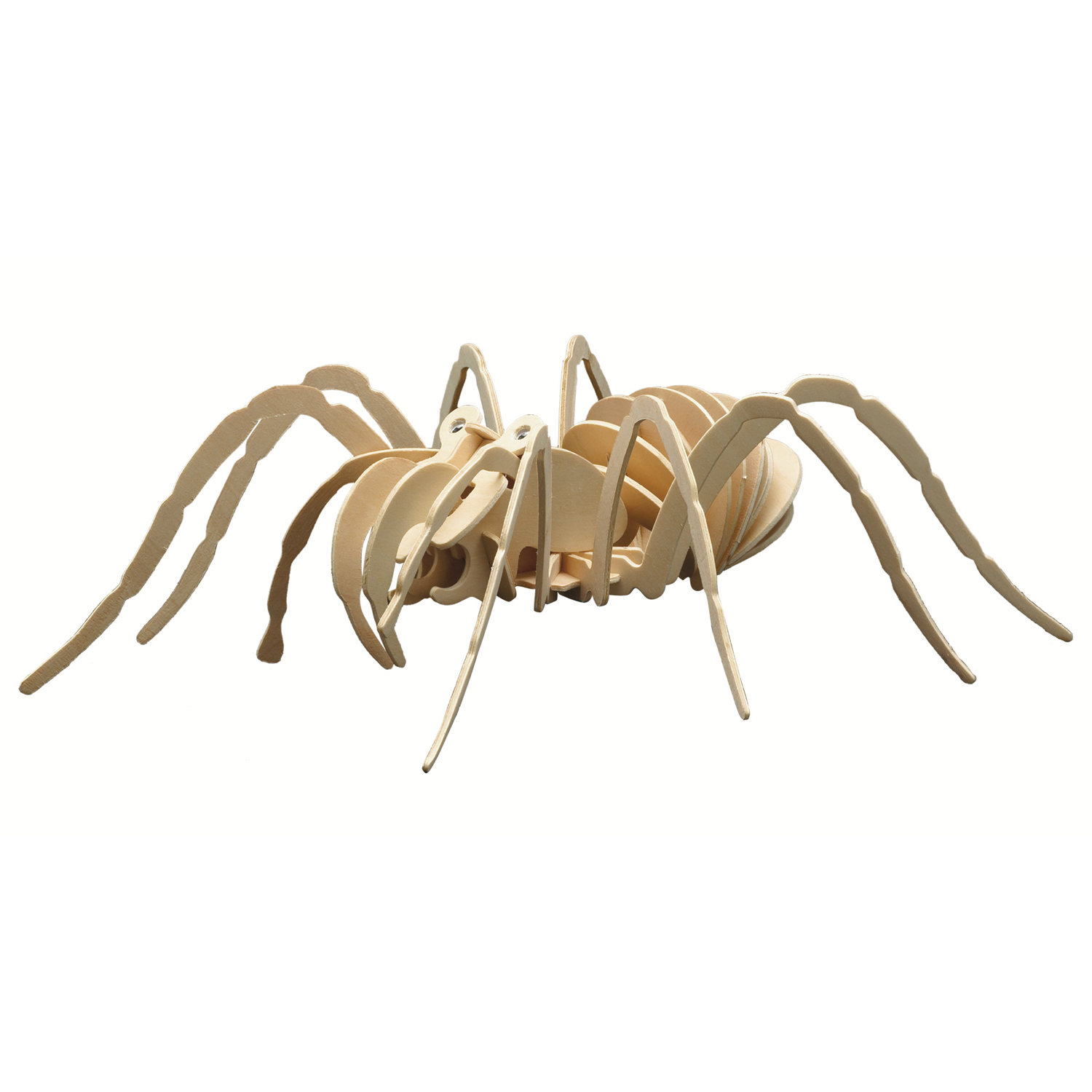 Pebaro Houten Bouwset Vogelspin