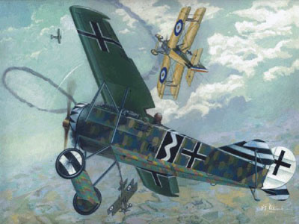 Roden Fokker E.V. - D.VIII 1/72